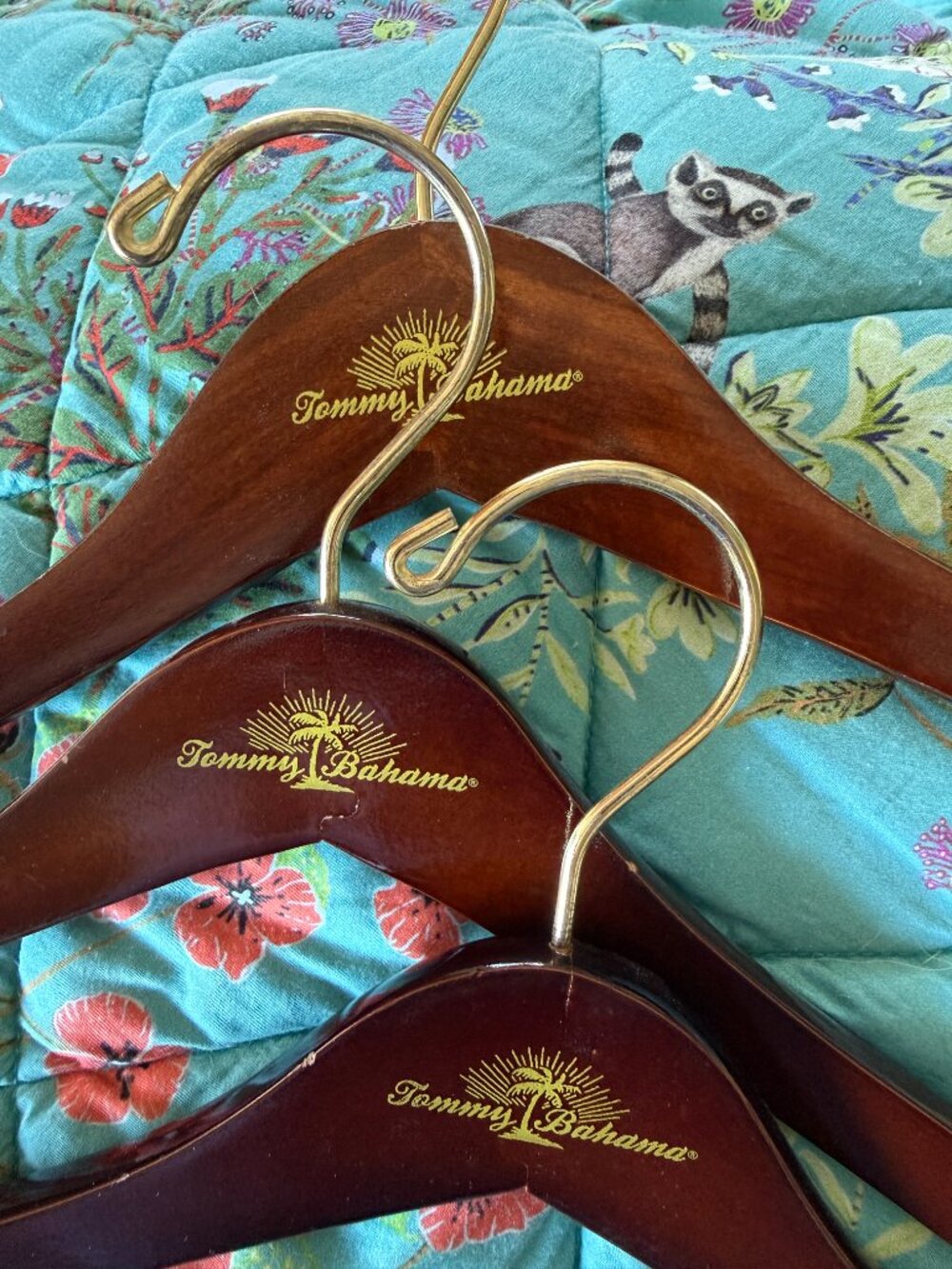 Tommy Bahama  Wooden Hanger Set of 3